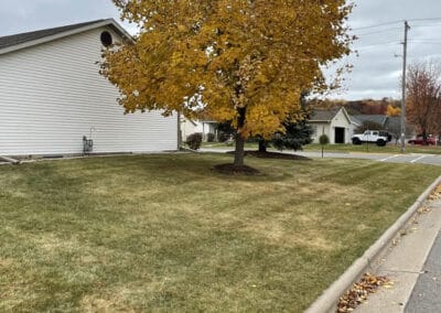 Adams Landscape Design Spring and Fall Cleanup / Leaf Removal - example