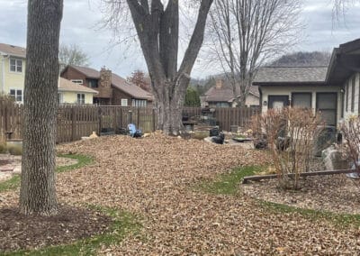 Adams Landscape Design Spring and Fall Cleanup / Leaf Removal - yard full of leaves
