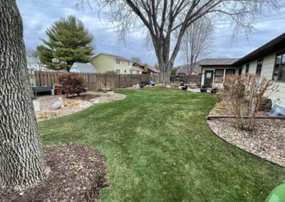 Adams Landscape Design Spring and Fall Cleanup / Leaf Removal - clean yard