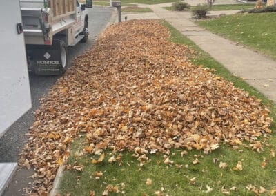 Adams Landscape Design Spring and Fall Cleanup / Leaf Removal - example